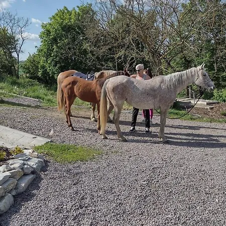 Hannah - Relax Dom Pod Orechom - 2i Rodinne So Zdielanou Kuchynou Apartman Barsfüss