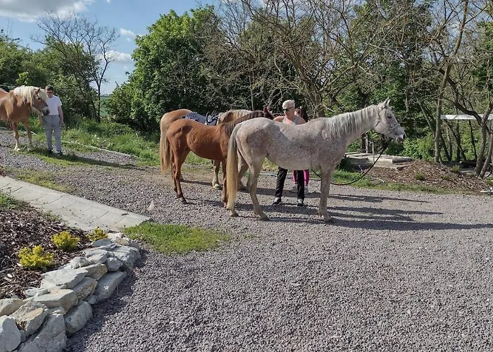 Hannah - Relax Dom Pod Orechom - 2i Rodinne So Zdielanou Kuchynou Lejlighed Trávnica